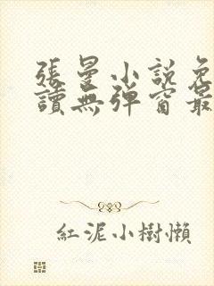 张曼小说免费阅读无弹窗最新章节