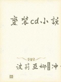 变装cd小说封面