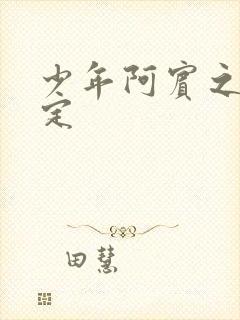 少年阿宾之老约定