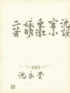 二嫁东宫沈雨燃萧明彻小说免费阅读全文