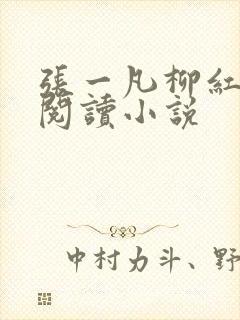 张一凡柳红免费阅读小说