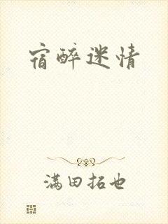 宿醉迷情封面