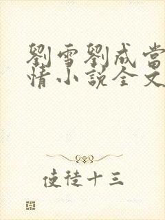 刘雪刘成当代爱情小说全文免费 笔趣