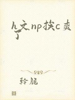 h文np挨c爽了封面