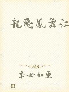 龙飞凤舞江一龙封面