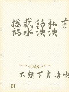 总裁的私有宝贝祸水泱泱