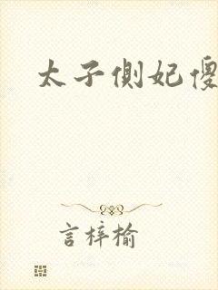 太子侧妃傻乎乎封面