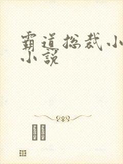 霸道总裁小娇妻小说封面