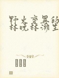 野火变异的父爱林晚林潮生封面
