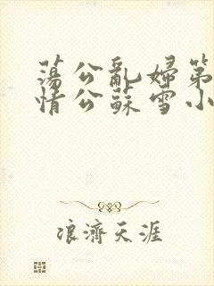 荡公乱妇第1章情公苏雪小说