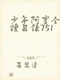 少年阿宾全文阅读目录751封面