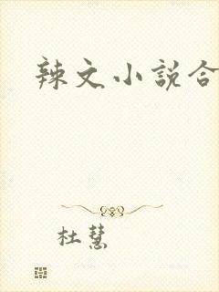 辣文小说合集
