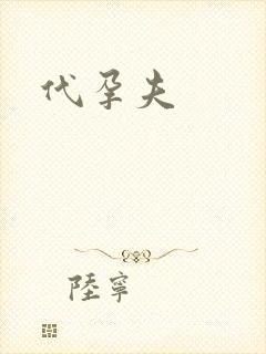代孕夫封面