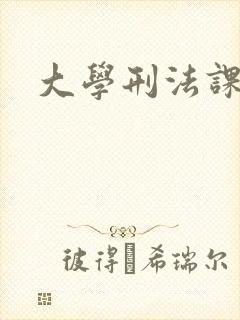 大学刑法课封面