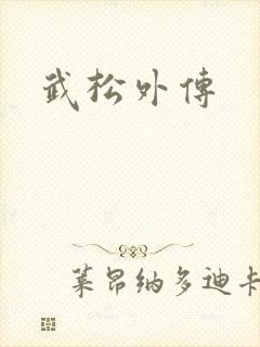 武松外传封面