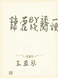 钻石BY逐一而归在线阅读