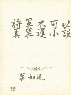 将军不可以魏云真慕迟小说笔趣阁