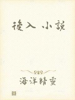 后入 小说