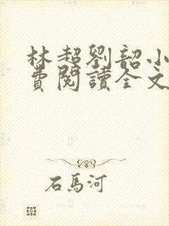 林超刘韶小说免费阅读全文最新章节封面