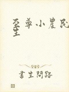 至尊小农民王木生封面