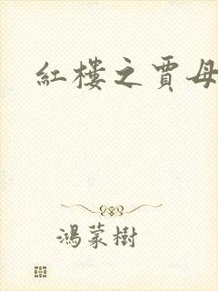 红楼之贾母封面