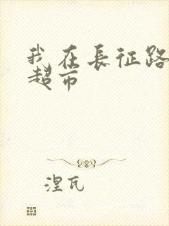 我在长征路上开超市封面