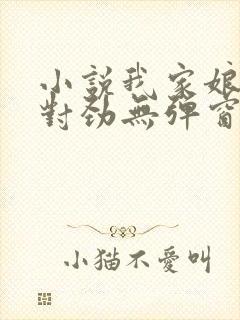 小说我家娘子不对劲无弹窗无广告