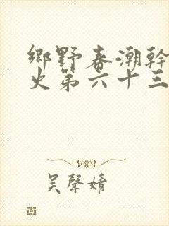 乡野春潮干柴烈火第六十三章