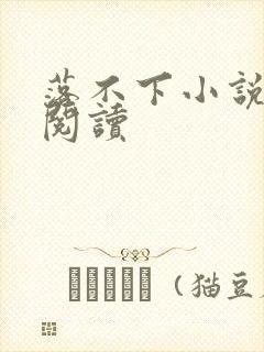 落不下小说免费阅读