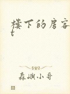 楼下的房客txt封面