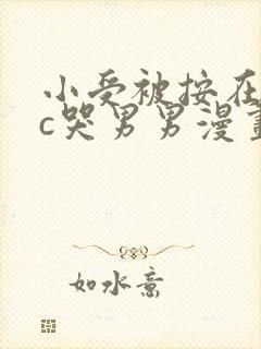 小受被按在墙上c哭男男漫画封面