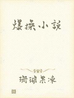 爆操小说