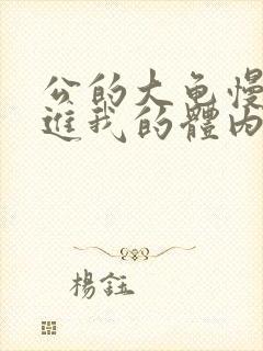 公的大龟慢慢挺进我的体内