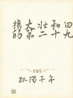 杨大壮和田桂花的第二十九