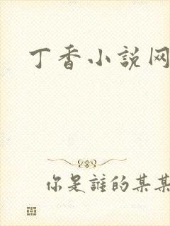 丁香小说网