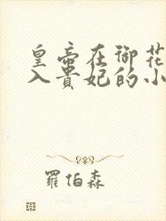 皇帝在御花园进入贵妃的小说