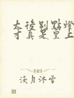 太后别点灯,奴才真是皇上小说