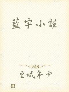 蓝宇小说