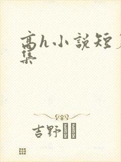 高h小说短篇合集封面