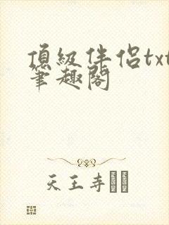 顶级伴侣txt笔趣阁