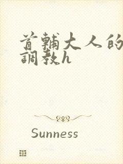 首辅大人的花式调教h