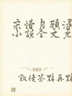 宋惜月顾浔渊的小说全文免费阅读