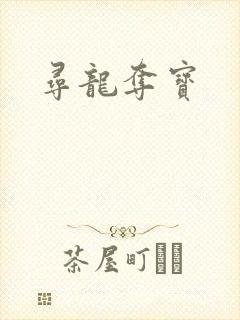 寻龙夺宝