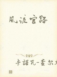 风流官路