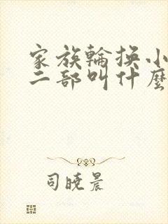 家族轮换小说第二部叫什么名字
