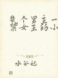 几个男主一起囚禁女主的小说