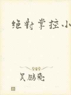 绝对掌控小说封面