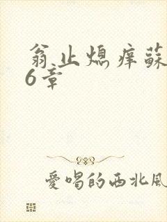 翁止熄痒苏玥第6章