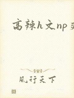 高辣h文np爽