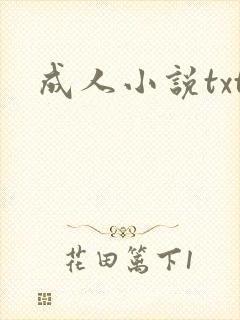 成人小说txt